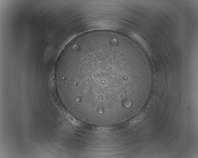 X0000072510875200607211355