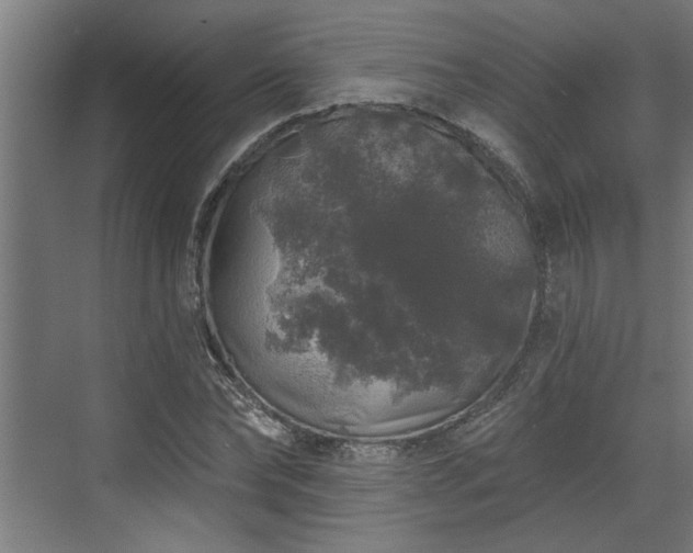 X0000072510878200607211355