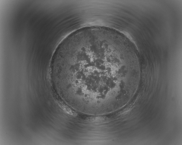 X0000072510879200607211354