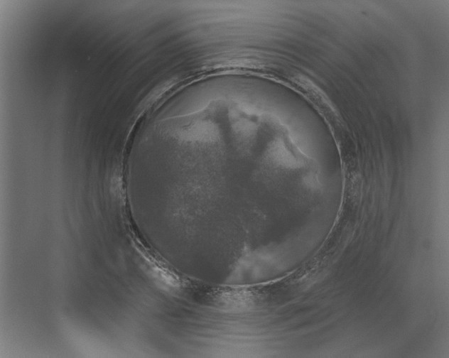 X0000072510882200607211354