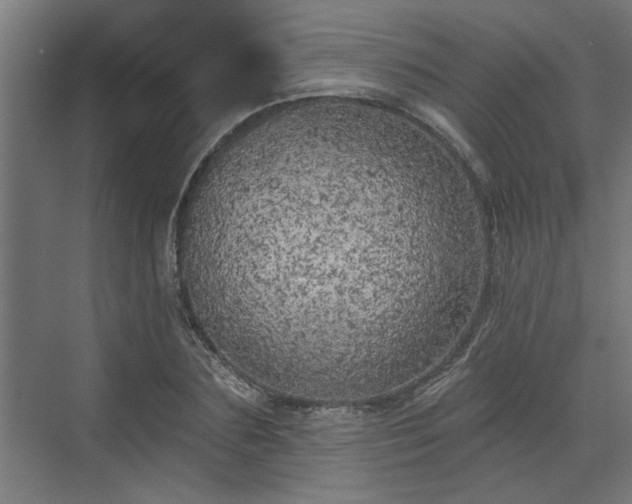 X0000072510883200607211354