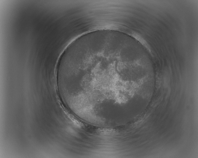 X0000072510886200607211354