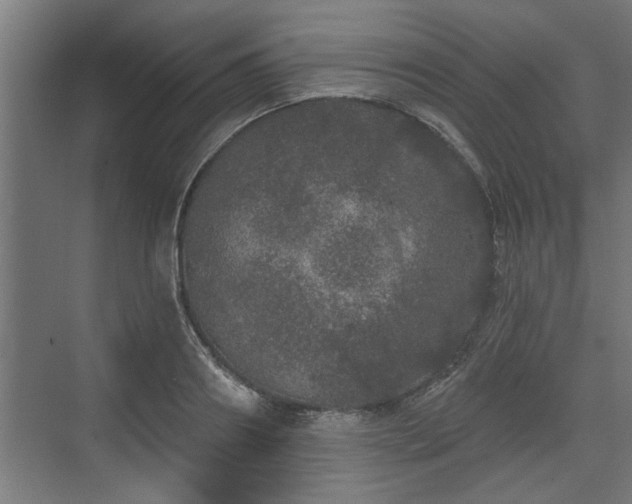 X0000072510890200607211354