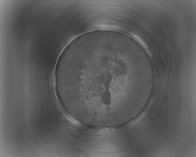 X0000072510891200607211354