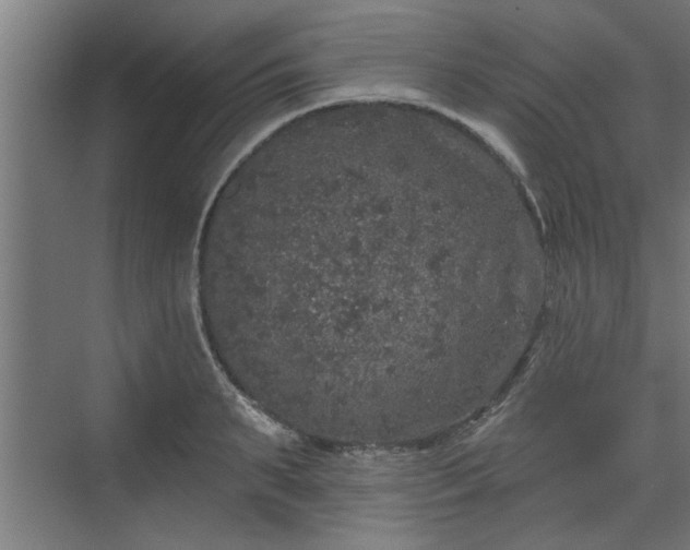 X0000072510895200607211354