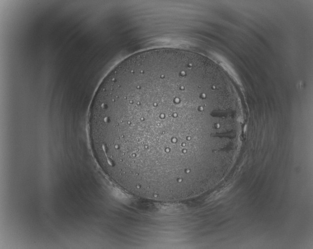 X0000072510899200607211354