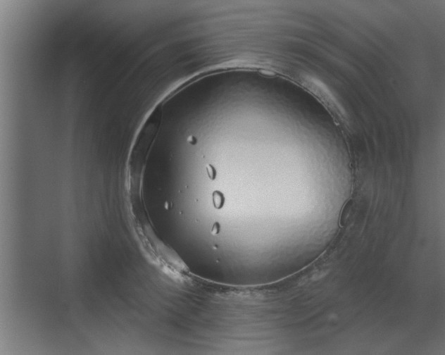 X0000072510900200607211354