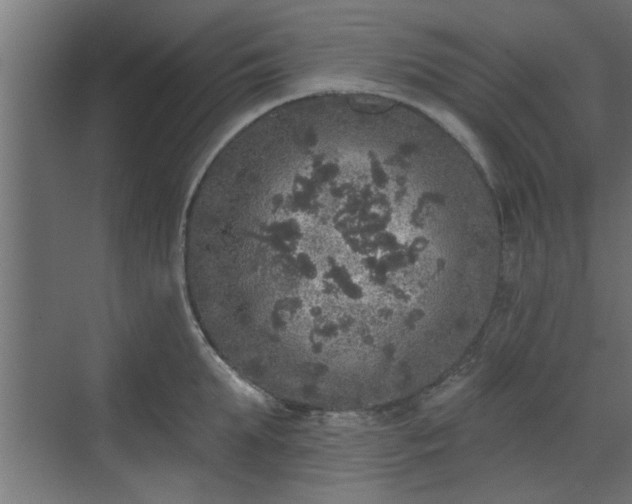 X0000072510903200607211354