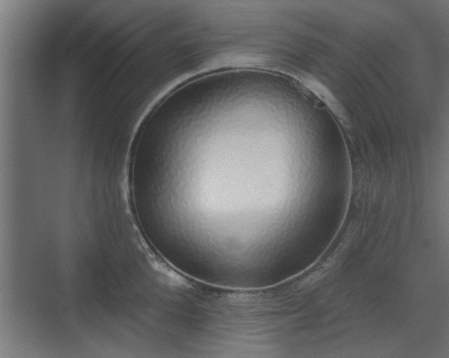 X0000072510904200607211354