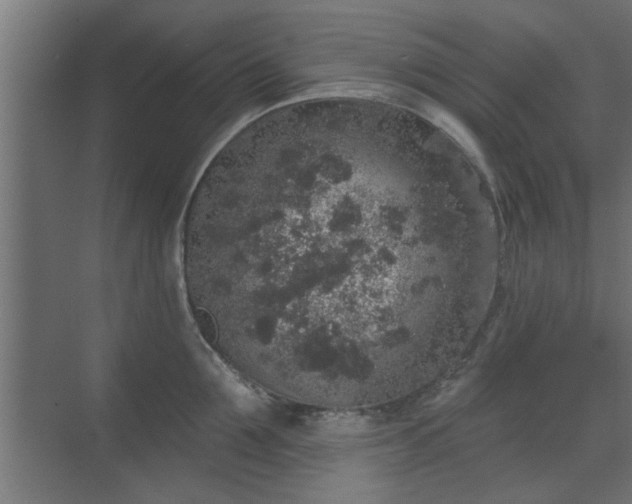 X0000072510907200607211354