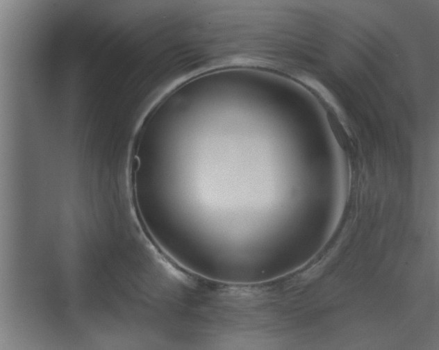 X0000072510910200607211354