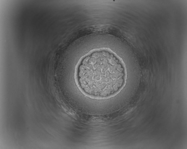 X0000072510913200607211353