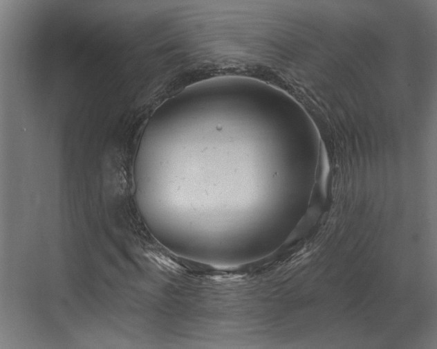 X0000072510916200607211353