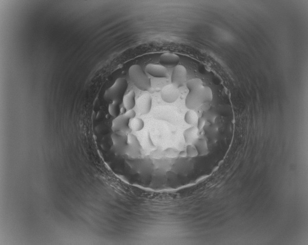 X0000072510919200607211353