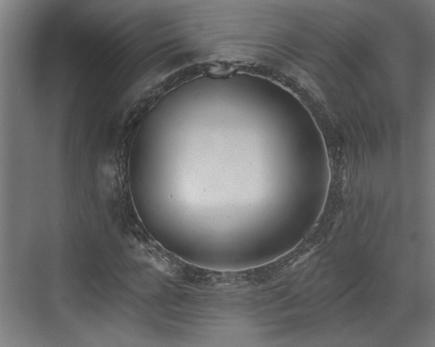 X0000072510920200607211353