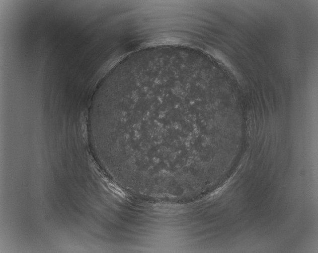 X0000072510921200607211353