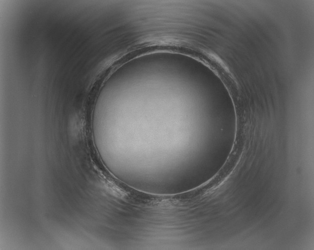 X0000072510922200607211353