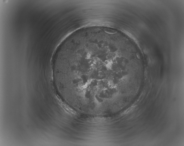 X0000072510925200607211353