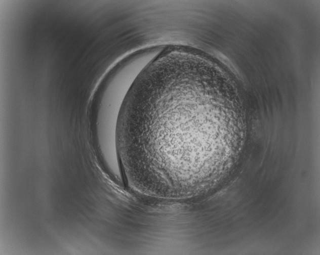 X0000072510926200607211353