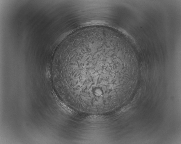 X0000072510929200607211353