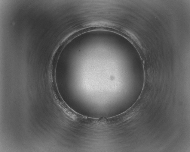 X0000072510931200607211353