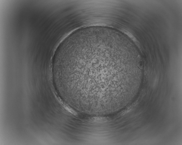 X0000072510933200607211353