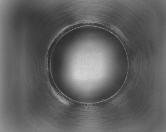 X0000072510934200607211353