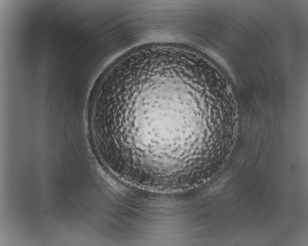 X0000072510935200607211354