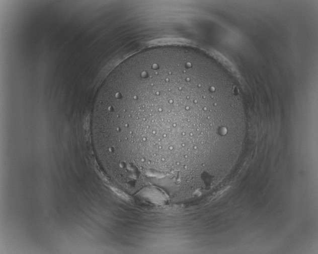 X0000072510937200607211354