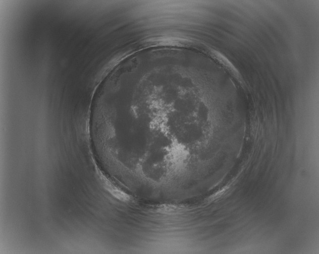 X0000072510938200607211354