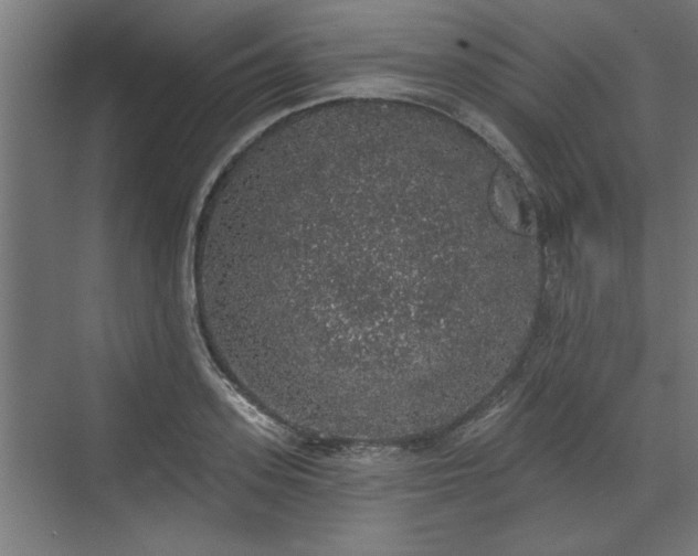 X0000072510939200607211354