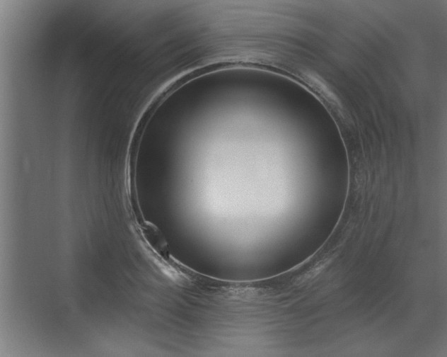 X0000072510940200607211354