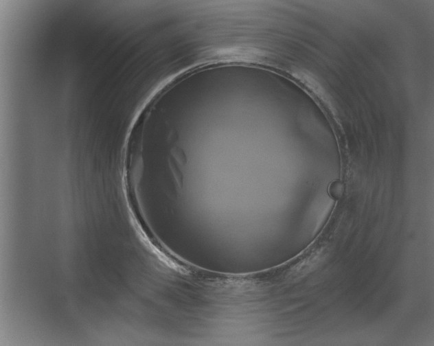 X0000072510941200607211354