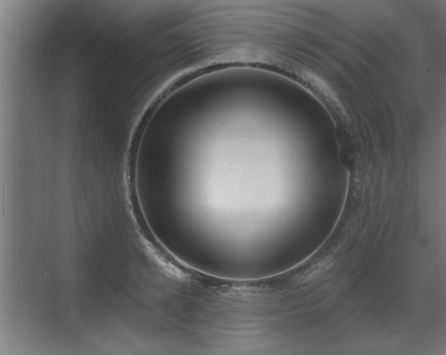 X0000072510942200607211354