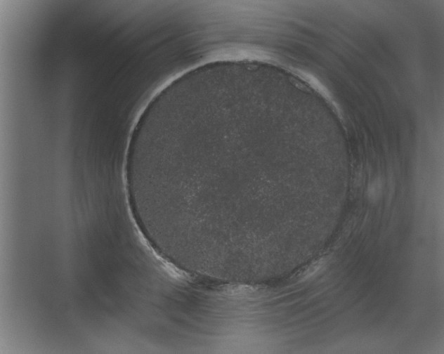 X0000072510943200607211354