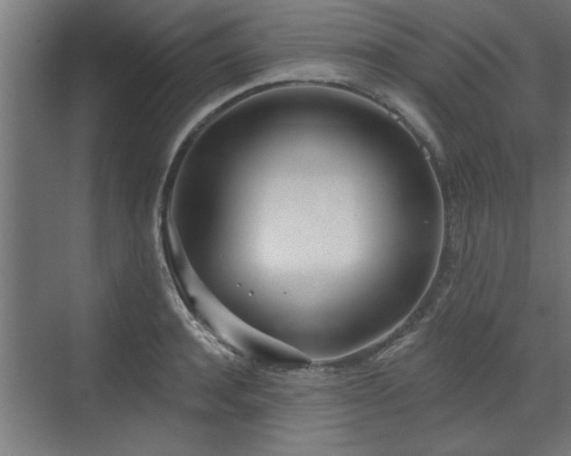 X0000072510944200607211354