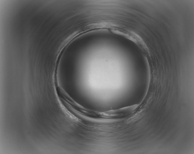 X0000072510946200607211354