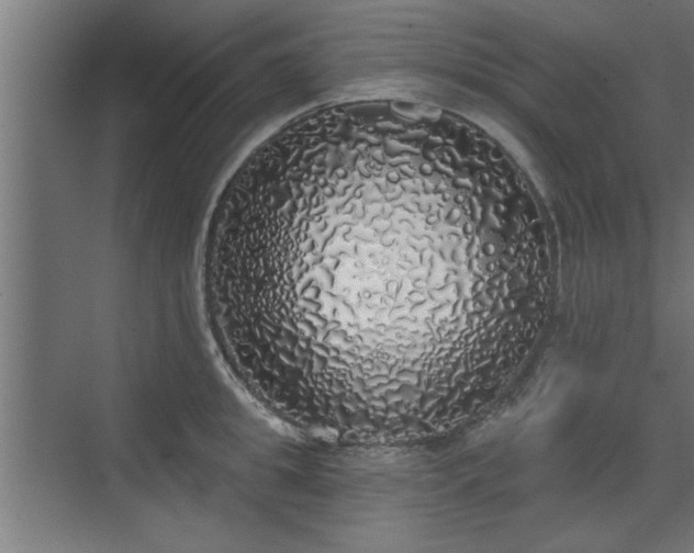 X0000072510949200607211354