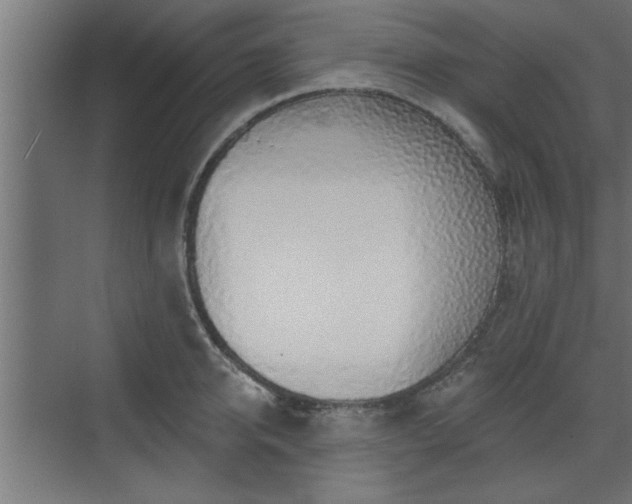 X0000072510950200607211354