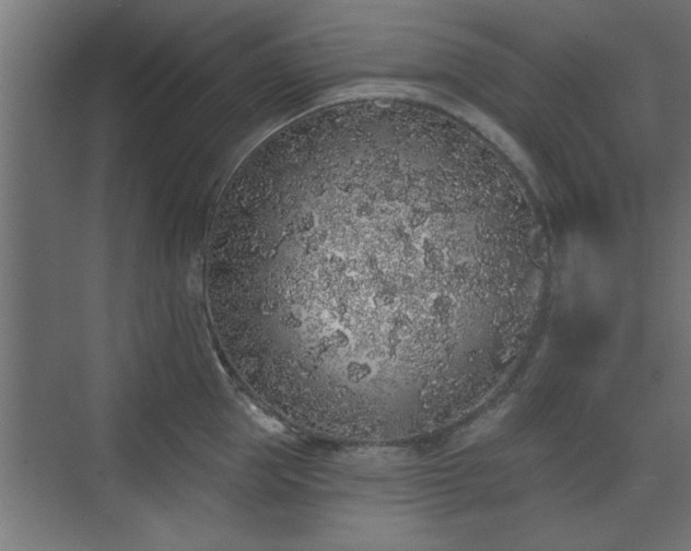 X0000072510953200607211354