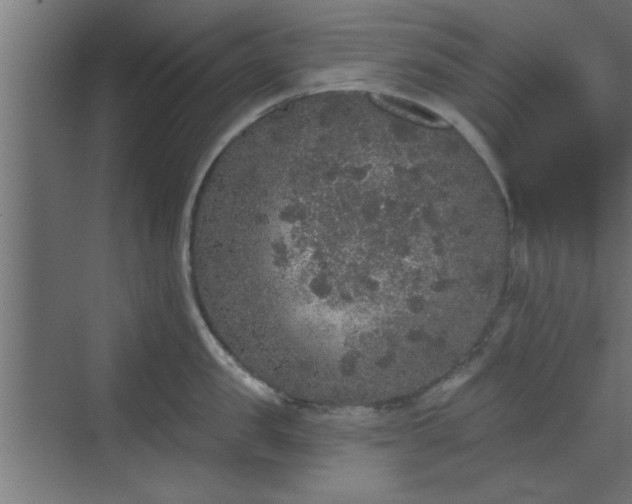 X0000072510957200607211354