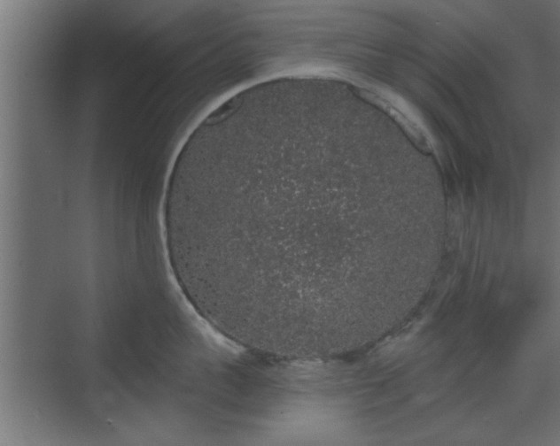 X0000072510959200607211354