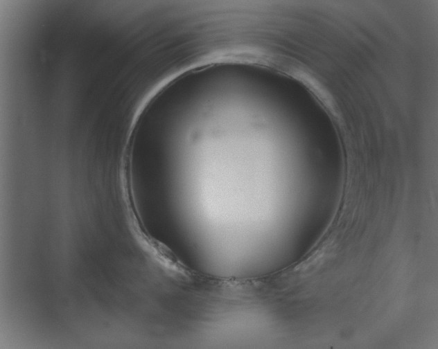 X0000072510960200607211354