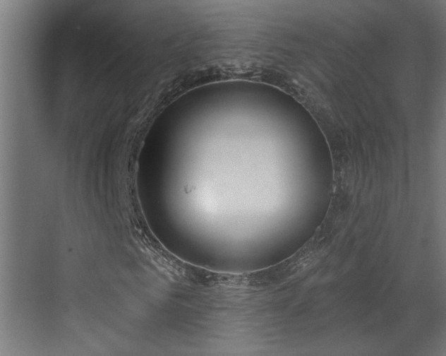 X0000072510961200607211353