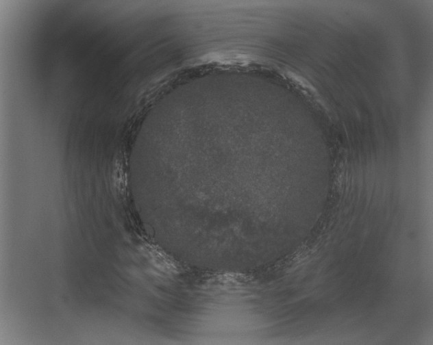 X0000072510966200607211353