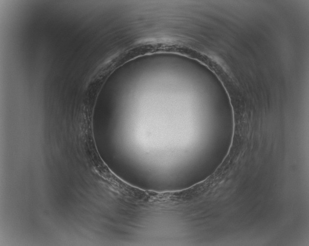 X0000072510967200607211353