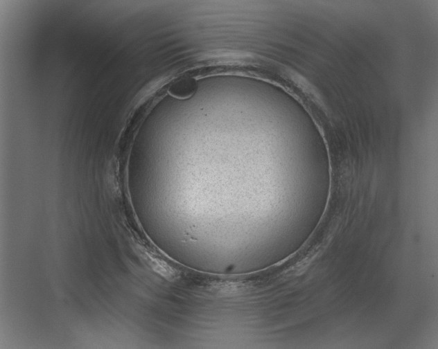 X0000072510970200607211353