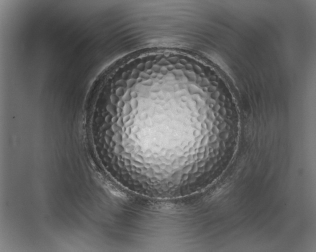 X0000072510971200607211353