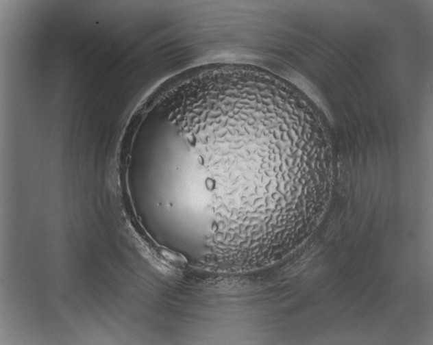 X0000072510972200607211353