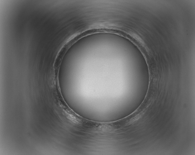 X0000072510974200607211353